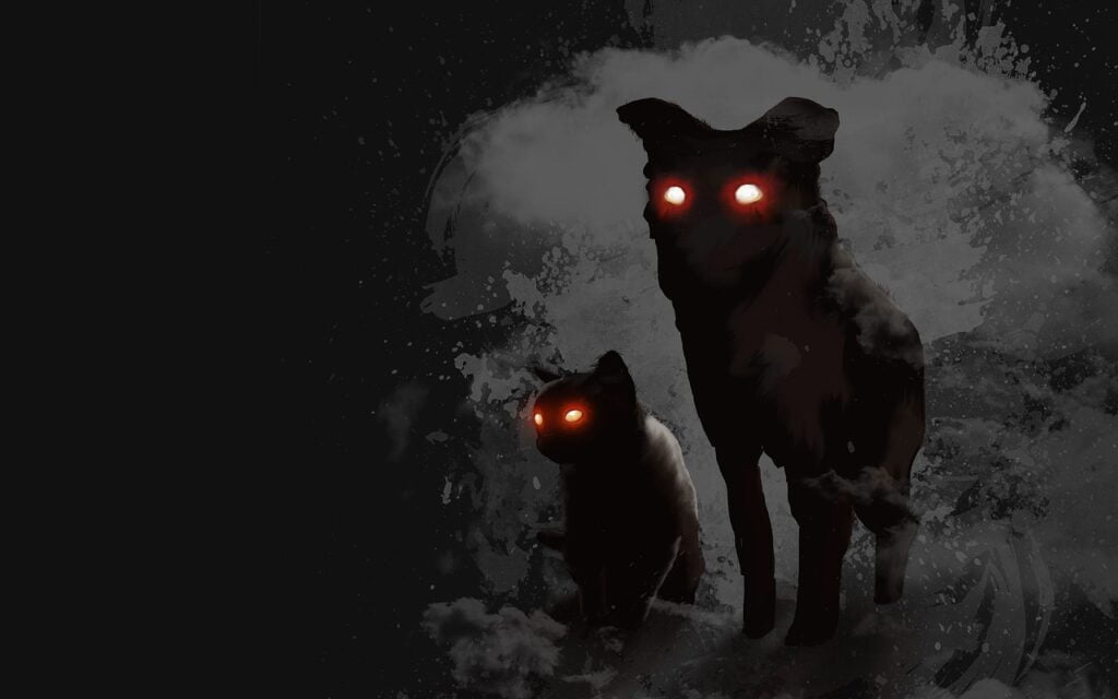 dog, cat, evil