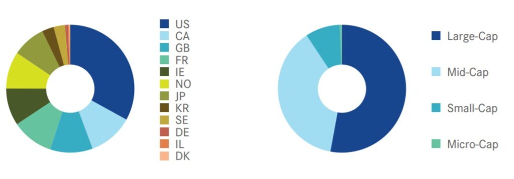 composizione nazionale e cap indice mvis global hydrogen economy