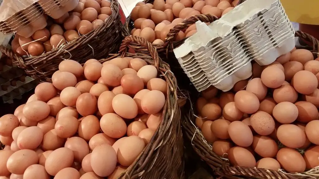 Diversificare, Non mettere tute le tue uova in un solo paniere