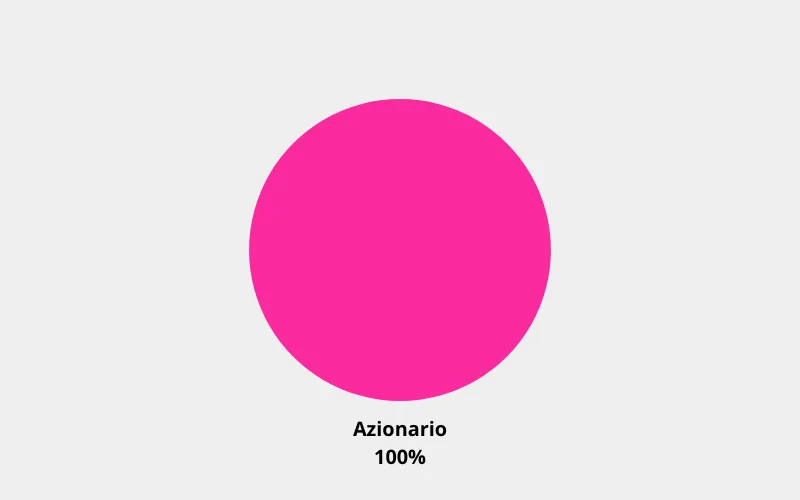 Esempio portafoglio di investimento 100% azionario